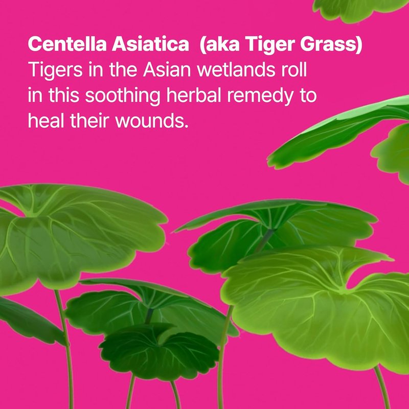 Dr.Jart+ Cicapair Tiger Grass Camo Drops - Tinted Serum SPF 35 with Centella Asiatica | Korean Skin Care Makeup Hybrid, 1.01 Fl Oz