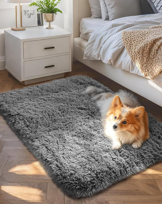 Ophanie Small Grey Area Rug - Fluffy Non-Slip Bedroom Carpet | 2x3 Mini Mat for Home Decor