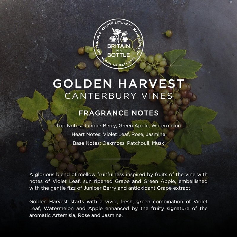 Golden Harvest Bubble Bath & Shower Gel - Luxurious Foaming Cleanser | 250ml