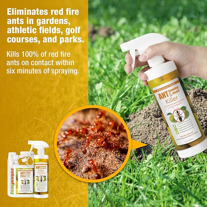 EcoRaider Ant & Crawling Insect Killer (34 OZ), 100% Fast Kills, Also Kills Fire Ants. Lasting Repellency, Safe for Children & Pets