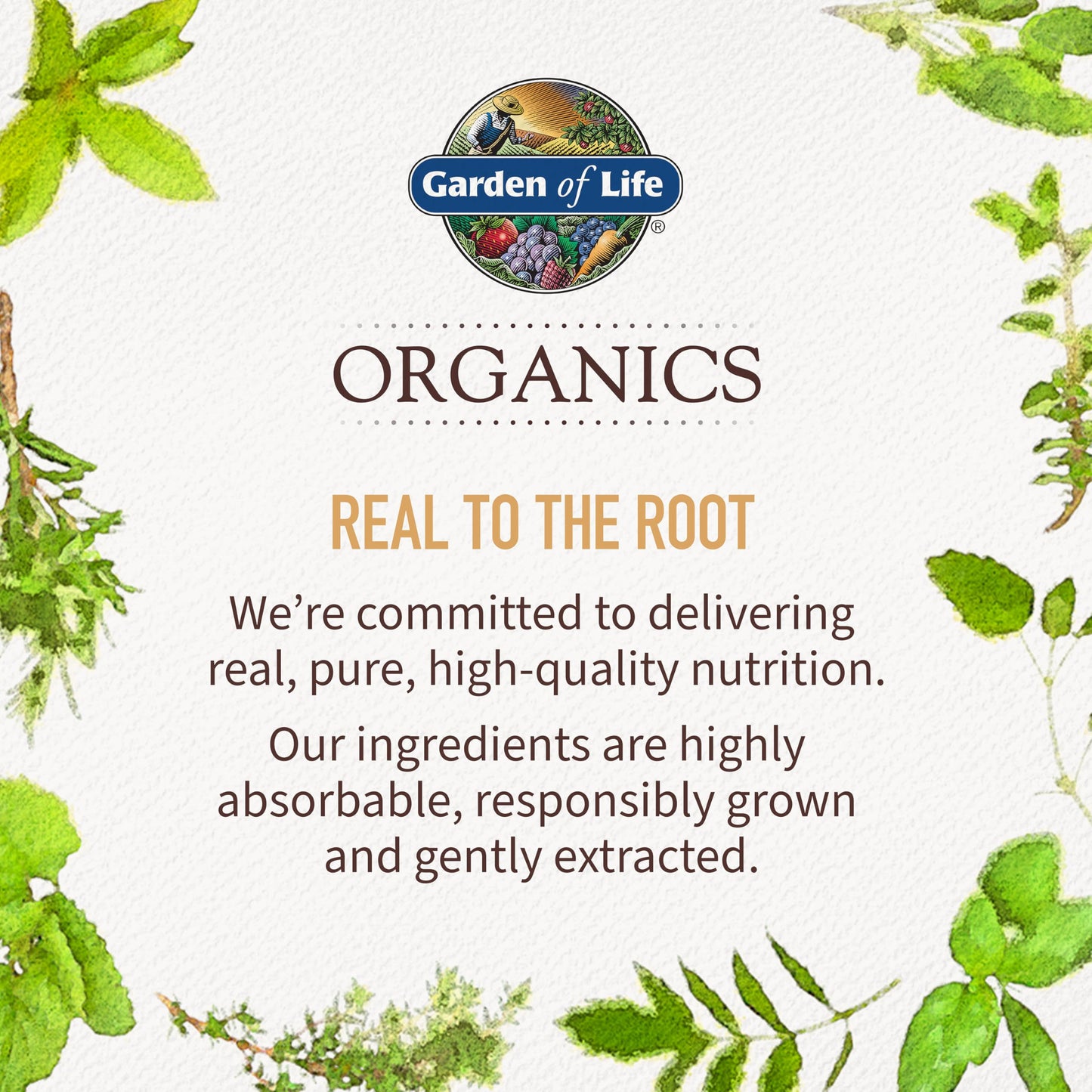 Garden of Life Organics Men's Multivitamin with Prostate Support, B12 & Vitamins – Vegan Daily Whole Food Multivitamin, Non-GMO, Certified Organic, 60 Tablets