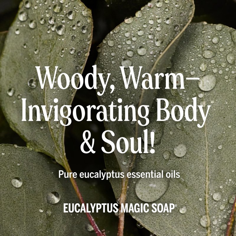 Dr. Bronner's Magic Soap-Pure-Castile Liquid Refill (Eucalyptus, 32 ounce, 1-Pack) - Regenerative Organic Certified Oils, For Body, Hair, Laundry, Pets & Dishes, Concentrated, Vegan, Non-GMO