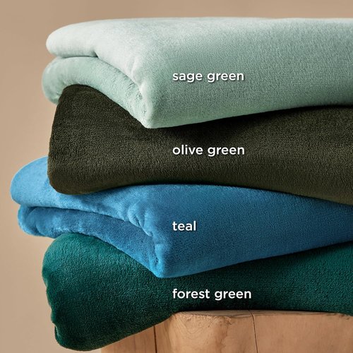 Bedsure GentleSoft Fleece Throw Blanket - 300GSM Soft Sage Green Plush Cozy Blanket for Home & Travel
