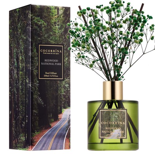COCORRÍNA Reed Diffuser - Redwood National Park 6.7 Fl.oz Reed Diffuser Set with 8 Sticks & Preserved Baby's Breath, Reed Diffuser for Home Bathroom Shelf Decor