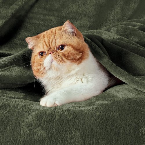 Bedsure GentleSoft Fleece Throw Blanket - XL Olive Green, 300GSM Lightweight Plush for Cozy Comfort, 50x70 Inches