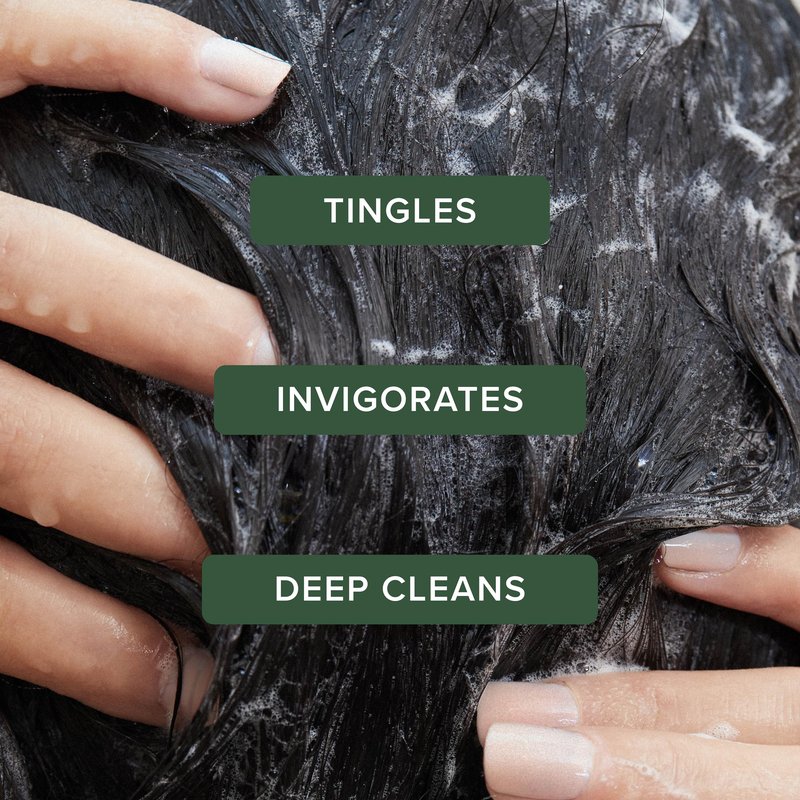 Tea Tree Special Shampoo, Deep Cleans, Refreshes Scalp, For All Hair Types, Especially Oily Hair, 10.14 fl. oz.