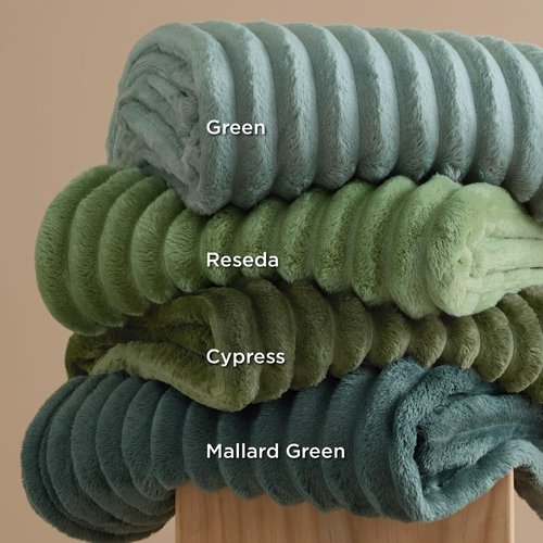 Bedsure GentleSoft Twin XL Blanket for Bed - Cozy Soft Blankets for Women, Cute Small Fleece Throws for Girls, Birthday Gifts for Women Decor Gifts, Moss, 66x90 Inches