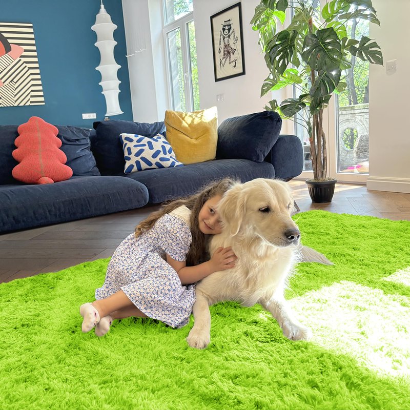 OLANLY 6x9 Machine Washable Large Area Rugs for Living Room, Bedroom, Soft Fluffy Shaggy Bedside Rug, Indoor Floor Carpet for Kids Girls and Boys, Dorms, Nursery, Home Decor Aesthetic, Lime Green