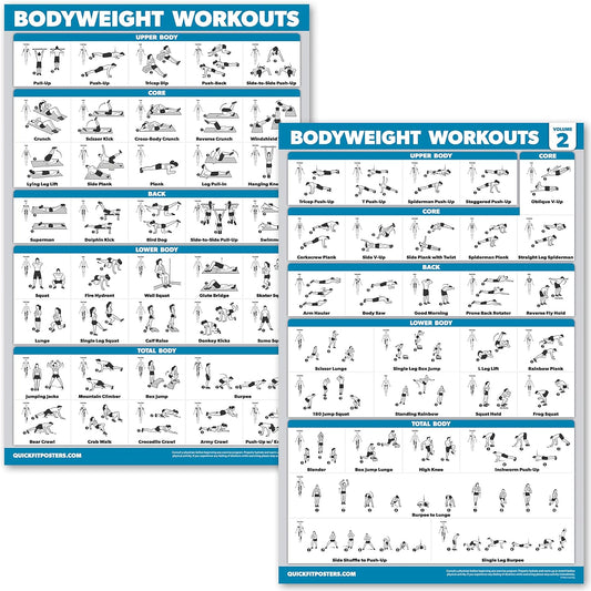 Palace Learning Bodyweight Workout Poster Set - Laminated Exercise Charts (18" x 24") - Volume 1 & 2