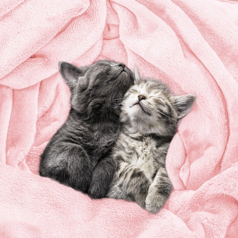 Utopia Bedding Fleece Blanket King Size Pink 300GSM Luxury Fuzzy Soft Anti-Static Microfiber Bed Blanket (90x102 Inch)