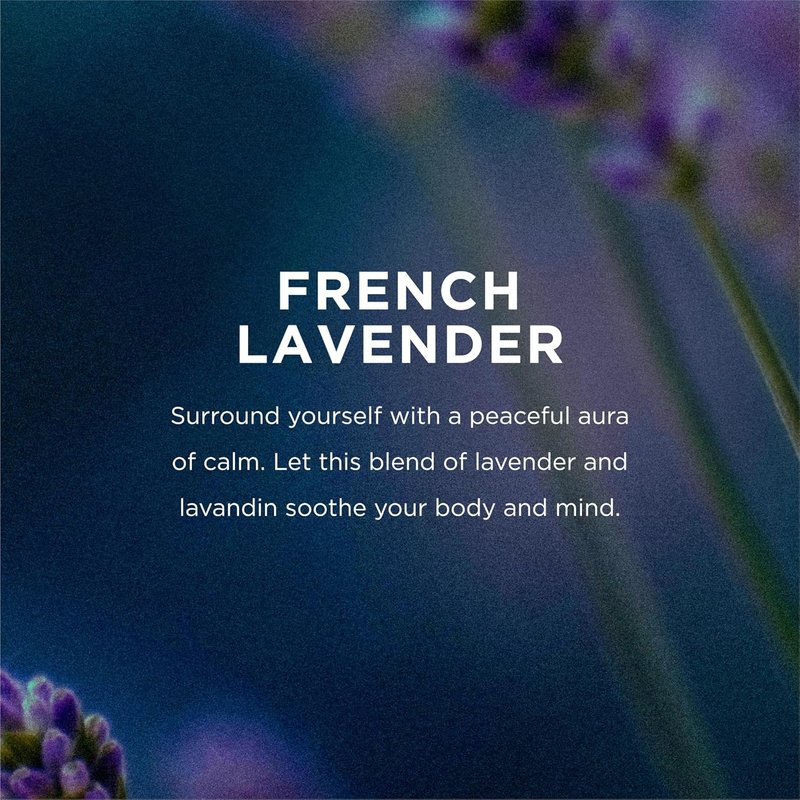 EO Shower Gel | Organic Lavender Body Wash - 16 Ounce Pack of 2, Plant-Based Skin Conditioner with Essential Oils